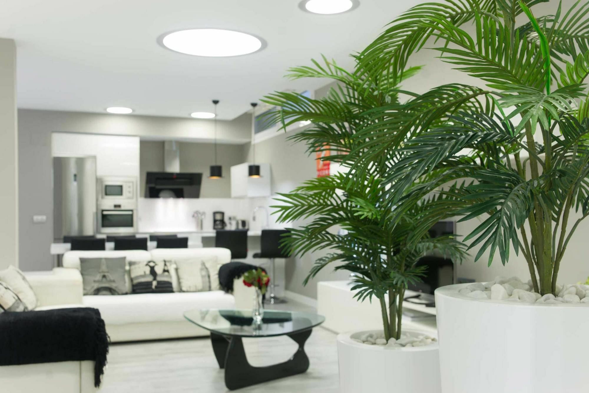 Apartamento Lagun Concha Beach San Sebastián Eksteriør billede